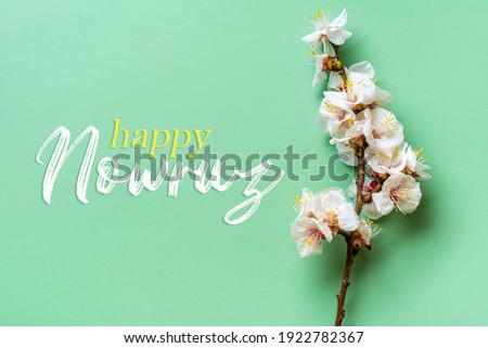 Sprigs of the apricot tree with flowers on green background Text Happy Nowruz Holiday Concept of spring came Top view Flat lay Hello march, april, may, persian new year