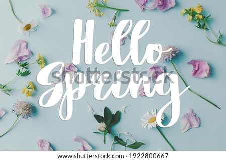 Hello spring text sign on beautiful wildflowers and peony petals flat lay composition on blue background. Stylish tender floral greeting card, handwritten greetings