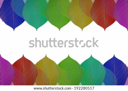 Abstract colorful leaves background