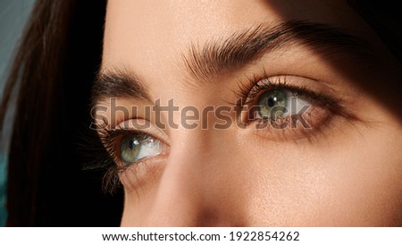 female green eyes with long eyelashes close up. look away Royalty-Free Stock Photo #1922854262