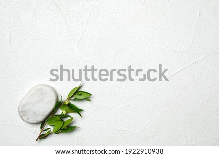 Spa stone and branch of plant on white table, flat lay. Space for text