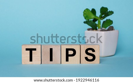 The word TIPS is written on wooden cubes near a flower in a pot on a light blue background