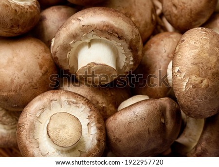 Fresh champignon mushrooms, macro, side view, background, shallow depth of field