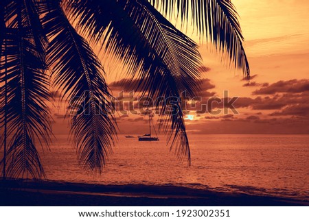 Sunset with palm and longtail boats on tropical beach.  beautiful tropical beach view sunset with palm tree and boat. Pukhet island, Thailand
