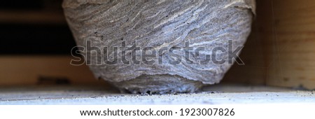 a nest or a hive of wild wasps in a niche under the roof of a wooden village house. banner