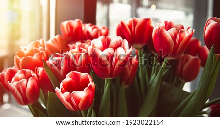 a large bouquet of tulips, and the sun's rays