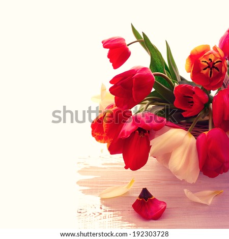 Colorful spring flowers bouquet tulips on wooden table isolated
