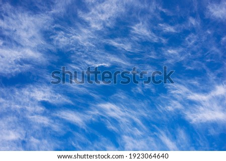 he clouds are pinnate silvery "fox tail" - the people's traditional weather forecast. With them the weather changes, a cyclone comes in and it can be raining after warm sunny weather