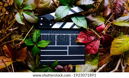 Empty wooden movie clapboard in frame of colorful autumn leaves. Nature concept. Top view. Ecological production, a film about environmental protection. Royalty-Free Stock Photo #1923071891