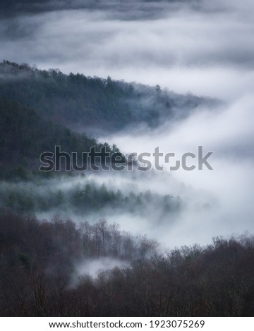A moody view of fog filling the forests down in the valleys of Shenandoah National Park during a winter evening.