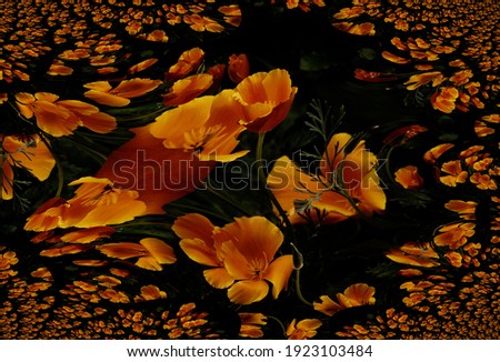 Fractals of a photo of California golden poppy flowers .