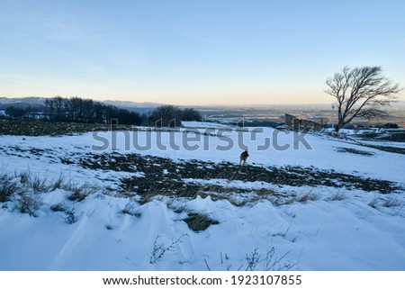 Snowy White Hills at Sunset by Winter