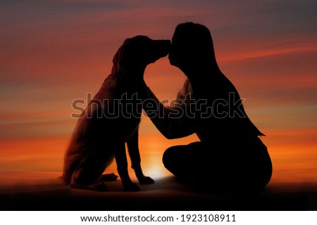 woman and dog silhouette at beautiful sunset