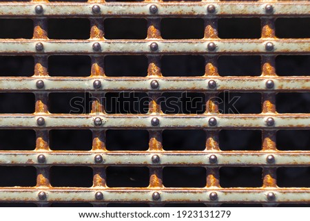 rusty grate with nails on sunny day close-up
