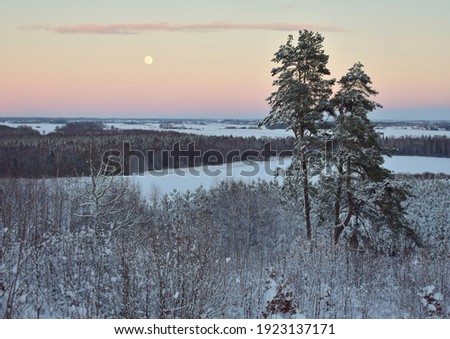 View from holy hill.Frozen trees in the snow capped forest .Winter season in Europe,Lithuania  .Awesome photography,amazing light.