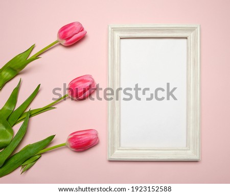 Spring composition with tulips on pink background, picture frame to insert your information.