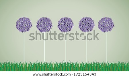 Alliums in a row in grass 