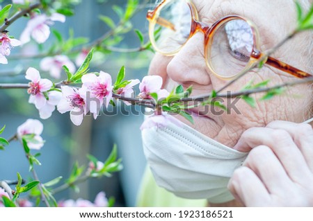 An elderly woman in round horned glasses and a protective respiratory mask sniffs a branch of a blossoming pink peach tree. Quarantine, health, precautions. Coronavirus covid19. Spring enjoyment