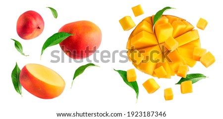 A set with Fresh ripe mango with leaves falling in the air isolated on white background. Food levitation concept. High resolution image