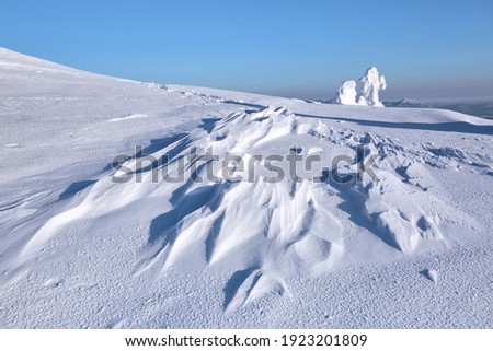 Landscape on winter day. Meadow covered with frost trees in the snowdrifts. Lawn and forests. Christmas wonderland. High mountain. Snowy wallpaper background. Nature scenery.