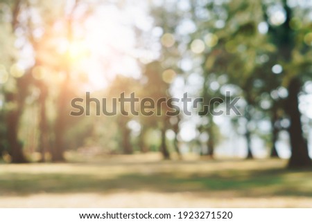 Blur nature bokeh green park by beach and tropical coconut trees in sunset time. Royalty-Free Stock Photo #1923271520