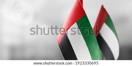 Small national flags of the United Arab Emirates on a light blurry background