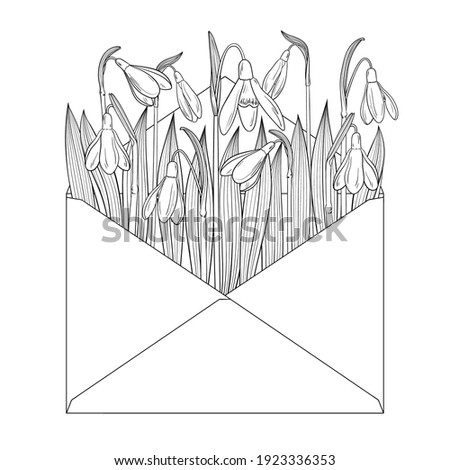 Snowdrops in envelope. Vector line illustration.