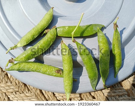 Beans,beautiful attractive pic of beans