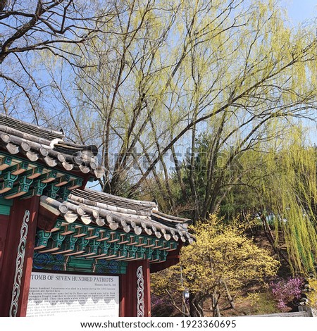 It is a picture of the natural scenery, flowers, trees, etc. of Korea or outdoors.
