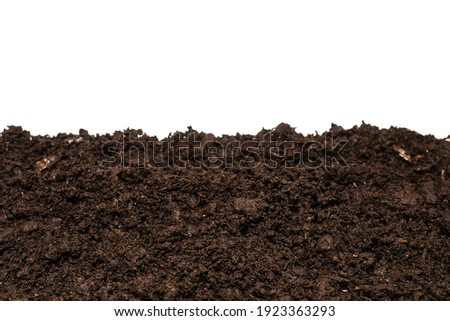 Black land for plant isolated on white background.  Royalty-Free Stock Photo #1923363293