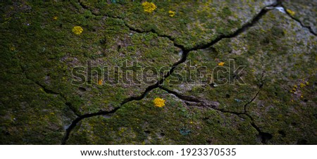 Shallow depth of field. Photo is blurred. Cracked concrete. Cracks in concrete are caused by internal tensile stresses caused by external forces, volume changes and creep.