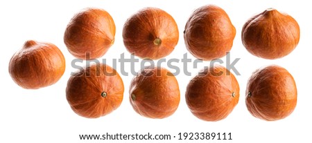 A set of pumpkins. Isolated on a white background