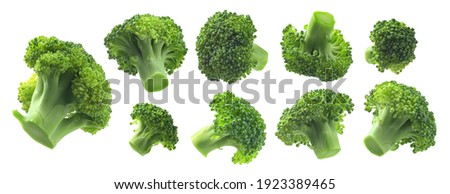 A set of broccoli. Isolated on a white background Royalty-Free Stock Photo #1923389465