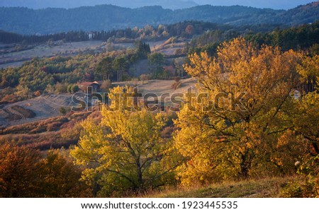 Autumn colours in a countryside