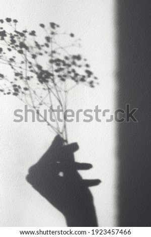 Female hand with white flowers on light background. Shadow from women's hands and plants. High quality photo