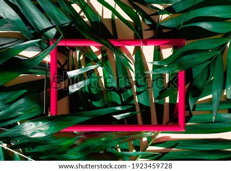 The beautiful mock-up of green palm leaves and pink frame. The leaves cast shadows on a beige background
