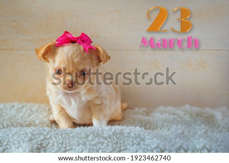 Children's calendar with a funny puppy  March 23