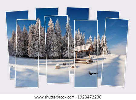 Isolated eight frames collage of picture of winter fairy tale scene after huge snowfall in mountain valley. Frosty morning view of Carpathian mountains. Mock-up of modular photo.
