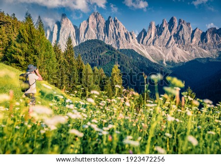 Beautiful summer scenery. Photographer takes picture of mountain peackjs. Tourist among the flowering Alpine meadows at the foot of Odle Group mountain range, St. Magdalena village, Italy.