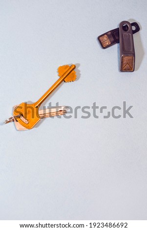 Home Ideas and Concepts. Bunch of Traditional Metal House Keys Against Pair of Electronic Chip Keys  Together Over Colorful Background.Vertical Orientation