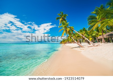 Palm trees on the tropical beach, Dominican Republic, Punta Cana, Saona Island Royalty-Free Stock Photo #1923514079