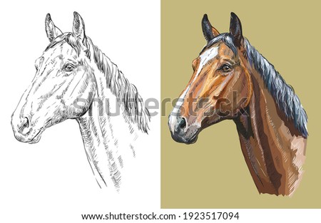 Realistic head of Trakehner horse. Vector black and white and colorful isolated illustration of horse. For decoration, coloring book, design, prints, posters, postcards, stickers, tattoo, t-shirt