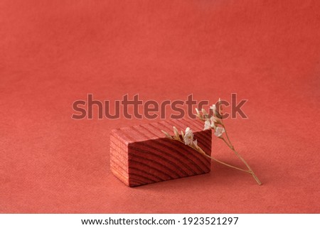 Minimalist natural background for cosmetic products. Terracotta wooden podium and dry flower.