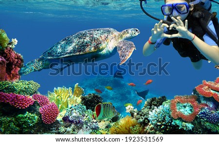 child girl diver and turtle underwater