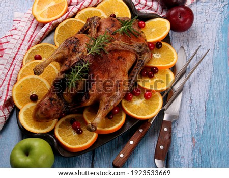 Baked whole duck with fresh rosemary and oranges on clay plate, Old blue wooden board background, Roast stuffed duck