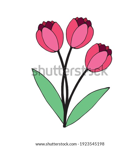 Bouquet of three red flowers of tulips. Vector hand drawn design element. Symbol of spring, love, flowering. Clip art for greeting card, wedding, birthday, mother's or women's or Valentine's Day