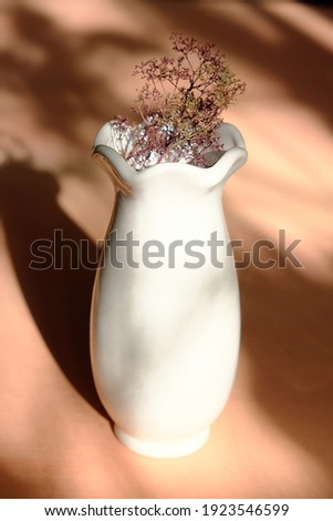 White vase with dried flowers on peach color neutral background casting shadows .  Silhouette in sunlight. Minimal modern interior decoration concept.