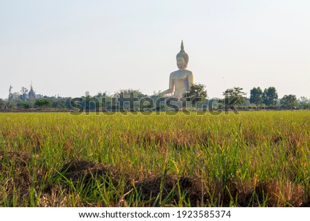 Large golden yellow Buddha statue at a Buddhist temple in Thailand