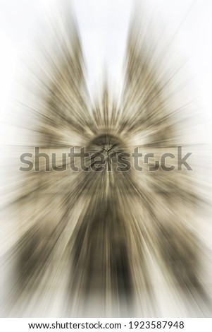 Church lights, zoom effect, Christianity