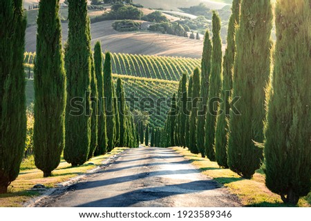 Marche countryside near Macerata, Marche region, Italy Royalty-Free Stock Photo #1923589346